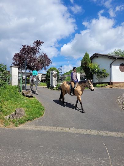 Reiter auf Pferden fahren eine Straße entlang. Im Hintergrund sind grüne Bäume und ein blauer Himmel zu sehen.
