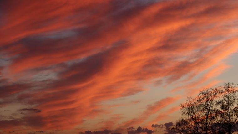 Ein schöner Sonnenuntergang mit leuchtend roten und orangefarbenen Wolken. Im Vordergrund sind silberne Baumzweige zu sehen.
