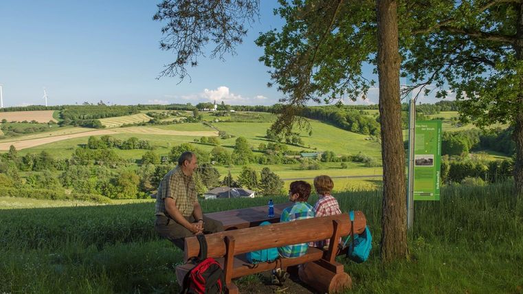 A group of people is sitting at a wooden table outdoors, enjoying the view of a green, hilly landscape. It is a sunny day with a clear sky and pleasant weather.