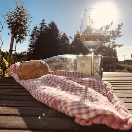 An outdoor table with a glass of wine and a roll on a checkered cloth. In the background, trees and a clear sky are visible.