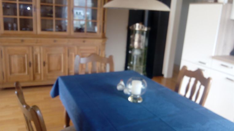 A dining room with a blue table and wooden furniture. In the background, there is a display cabinet and there is a modern kitchenette.