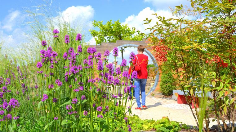 Ein schöner Garten mit bunten Blumen und grünem Laub. Eine Person geht auf einem Pfad in Richtung eines Gartengebäudes.
