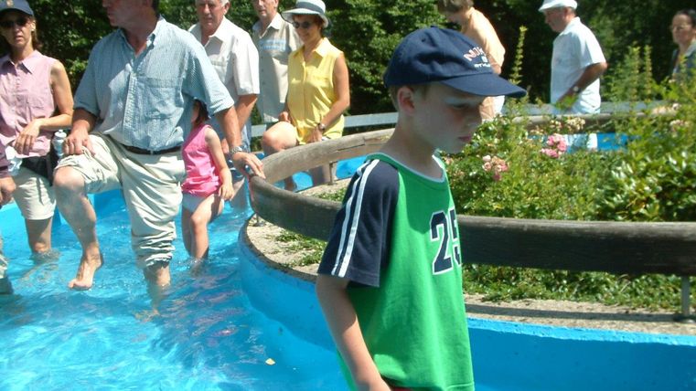 A group of people is standing in the water of a blue pool. A boy in a green T-shirt is playing there.