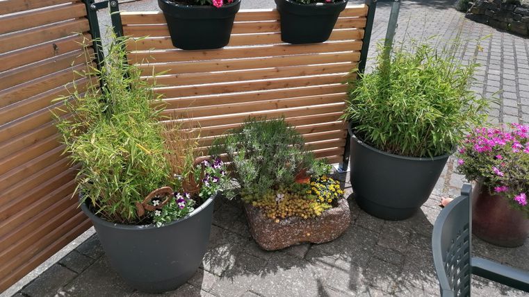 Een mooie ruimte met verschillende planten in grote potten en kleurrijke bloemen bovenaan. Op de achtergrond is een houten wand te zien die een gezellige sfeer creëert.