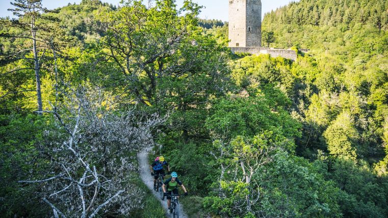A cycling path runs through dense forest, past an old ruin. In the background, green trees and a high-rise building rise up.