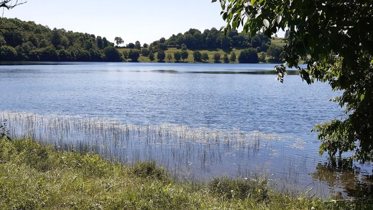 Een rustige vijver omringd door groen gras en bomen. Het wateroppervlak weerspiegelt de heldere lucht.