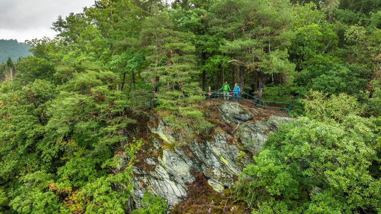 Eine grüne, bewaldete Steilküste mit dichtem Baumbewuchs. Zwei Personen stehen auf einem Aussichtspunkt und genießen die Aussicht.