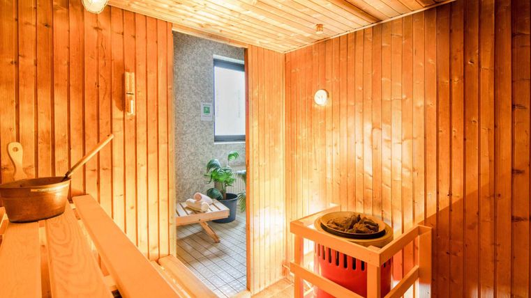 A cozy sauna with wood paneling and warm lighting. In the background, you can see greenery and an open entrance.