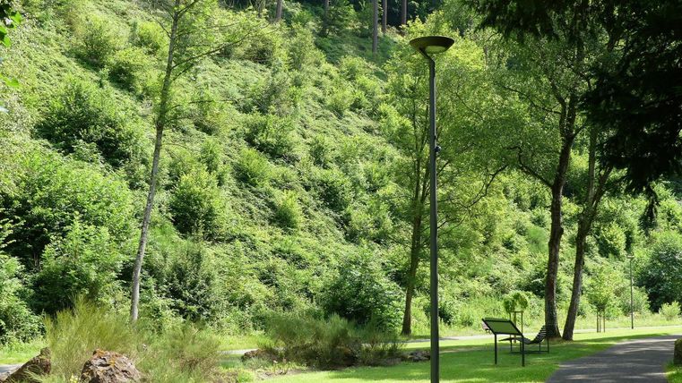A beautiful park with green hills and trees. A path with a streetlamp leads through the landscape.