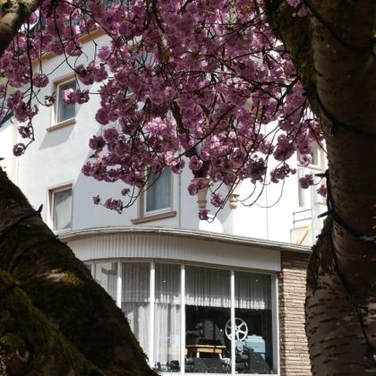 Ein schönes Wohngebäude, umgeben von blühenden Kirschbaumzweigen. Die Fenster zeigen eine gemütliche Inneneinrichtung.