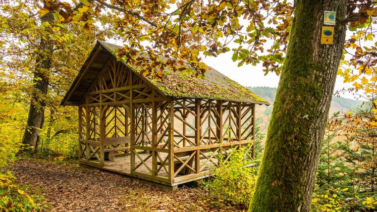 Een kleine houten schuilplaats in het herfstbos. Kleurrijke bladeren en een rustige omgeving creëren een gezellige sfeer.