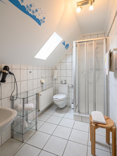 Ein modernes Badezimmer mit Dusche und hellen Fliesen. Das Dachfenster sorgt für viel Tageslicht.