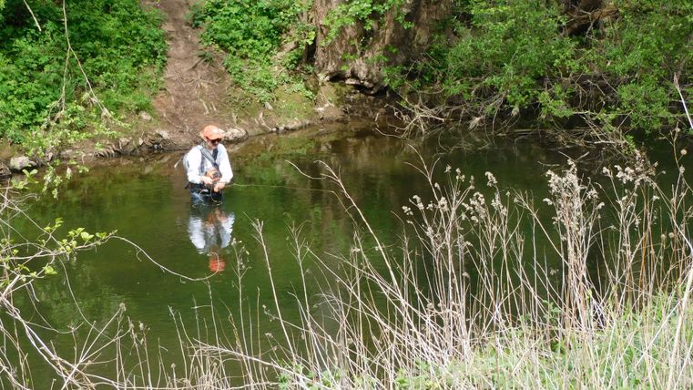 A fisherman stands in the clear water of a small body of water, surrounded by lush greenery. In the foreground, tall grasses grow.