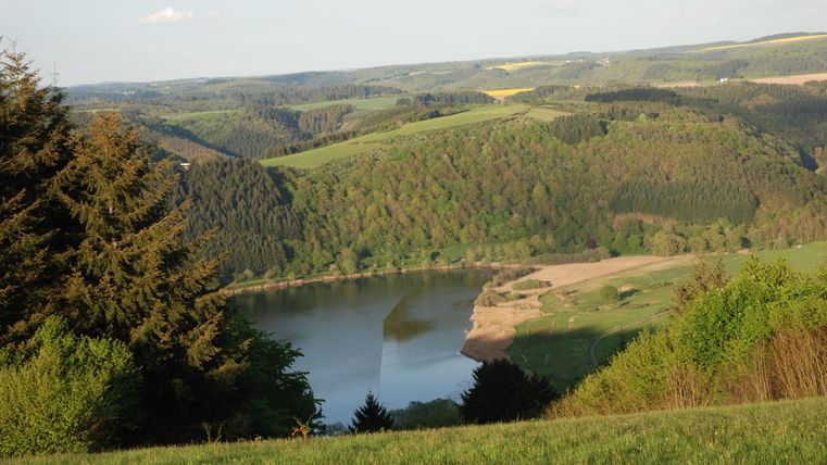 Eine malerische Landschaft mit einem ruhigen See, umgeben von grünen Hügeln und Wäldern. Der Himmel ist klar und die Natur strahlt Frieden aus.