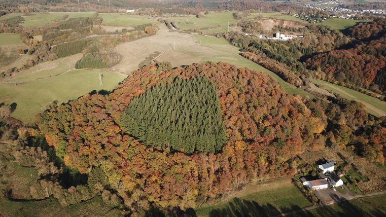 Eine hügelige Landschaft mit bunten Wäldern und einem markanten grünen Baumkreis. Im Hintergrund sind Wiesen und Siedlungen zu sehen.