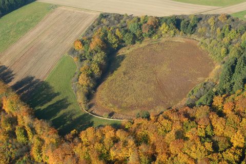 Eine herbstliche Landschaft mit bunten Bäumen und einem großen, runden Waldgebiet. Umgeben von Ackerflächen und Wiesen.
