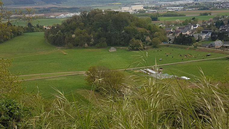 Eine weite Landschaft mit grünen Feldern und einigen Bäumen. Im Hintergrund sind kleine Gebäude und Berge zu sehen.