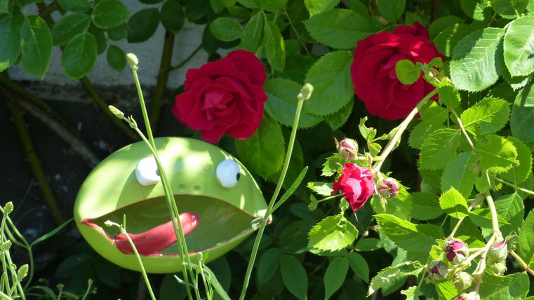 Een groene figuur met een glimlachend gezicht staat tussen rode rozen. Op de achtergrond zijn bladeren en planten te zien.