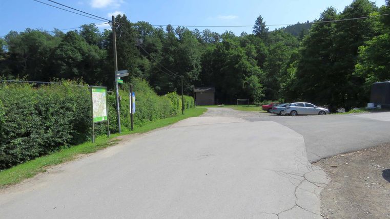 Eine ruhige Straße mit viel Grün und Bäumen. Im Hintergrund sind einige parkende Autos sichtbar.
