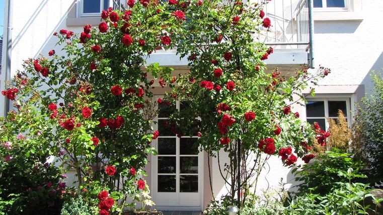 Ein schönes Haus mit einem Eingang, der von rosenblühenden Pflanzen umrahmt ist. Die roten Rosen verleihen dem Bild eine lebendige und einladende Atmosphäre.