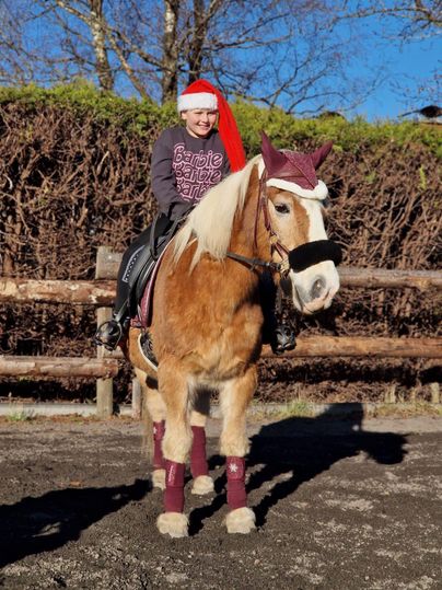 A child rides a horse and wears a Santa hat. The horse is festively decorated and the surroundings are sunny.