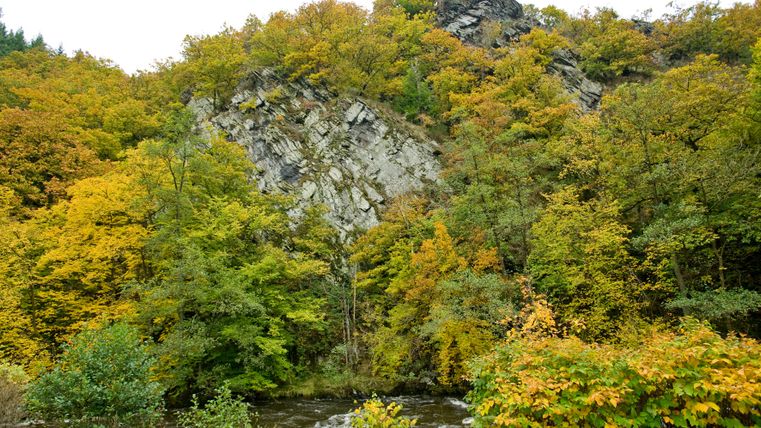 Herbstliche Landschaft mit Felsen und Fluss im Rurtal bei Widdau.