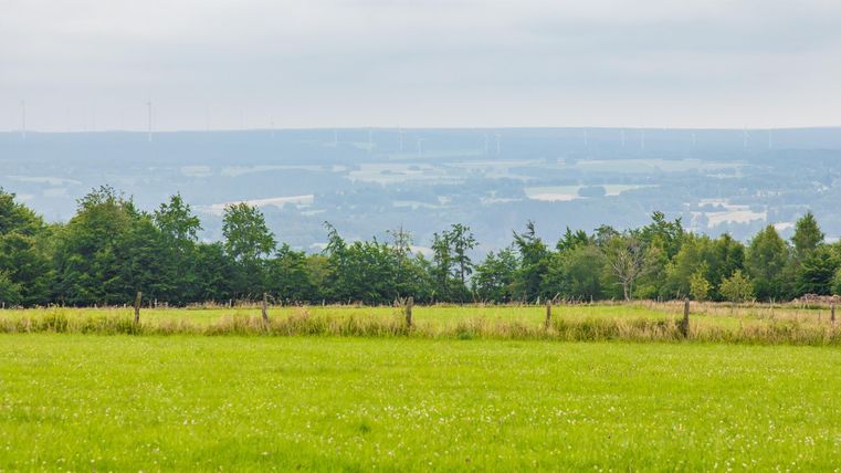 Eine weite Wiesenlandschaft mit grünem Gras und Bäumen am Rand. Im Hintergrund sind sanfte Hügel und ein bewölkter Himmel sichtbar.
