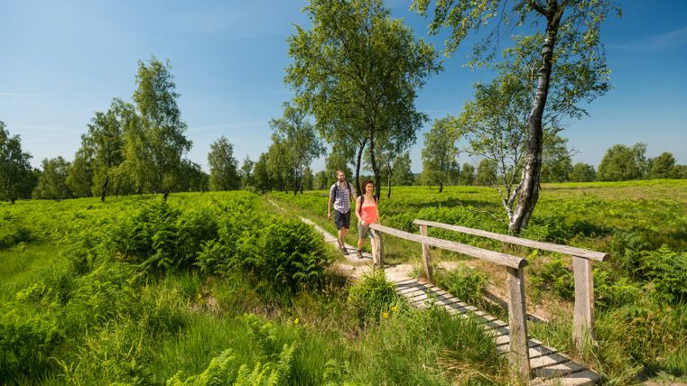Twee mensen lopen over een houten loopbrug door een groen heidelandschap met bomen.