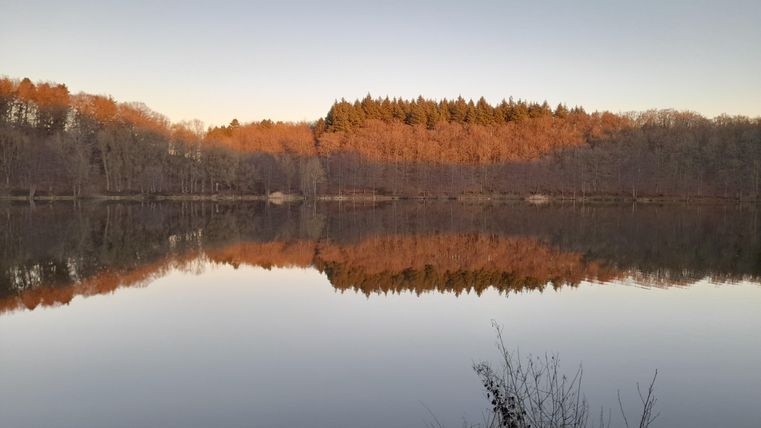 A calm lake that reflects the autumn colors of the surrounding trees. The sky is clear and the atmosphere is peaceful.