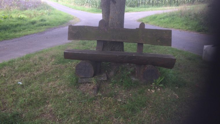 Eine Holzbank unter einem Baum an einer Wegkreuzung. Im Hintergrund sind grüne Felder sichtbar.