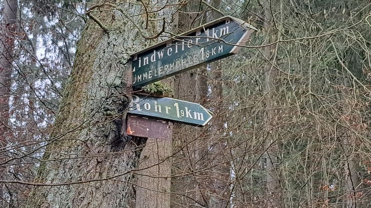 A signpost on a tree in the forest shows the distances to various destinations. The signs are green and brown with white lettering.