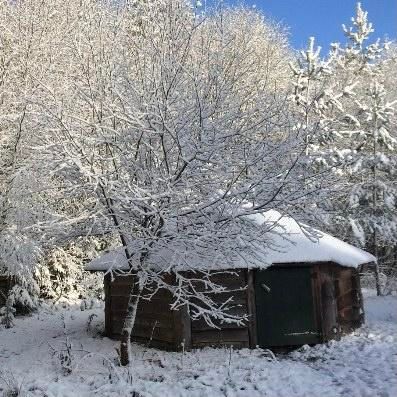 A snowy landscape with a small wooden house. The sky is blue and the trees are covered with fresh snow.