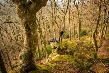Zwei Personen sitzen auf einem Felsvorsprung in einem Herbstwald und genießen die Aussicht