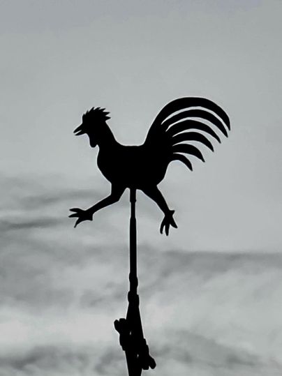 A weather vane in the shape of a rooster stands in front of a gray sky. The rooster is silhouetted and shows a dynamic pose.