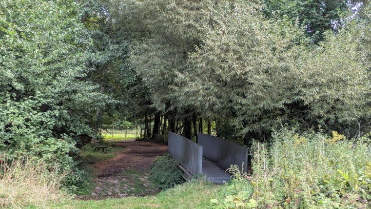 A narrow path leads through dense greenery. On the right side, a small bridge is visible.