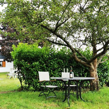 Een gezellige tafel met stoelen onder een boom. Op de tafel staan een fles wijn en glazen, omringd door groene struiken.