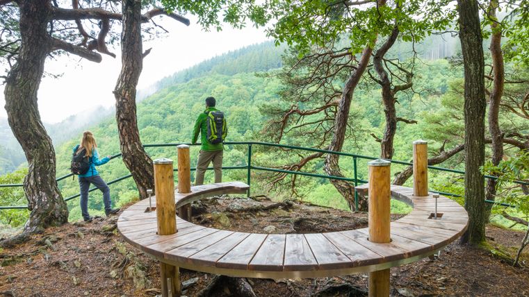 Zwei Wanderer stehen an einem Aussichtspunkt im Wald mit einer Holzbank und genießen den Blick auf die bewaldeten Hügel der Eifel.