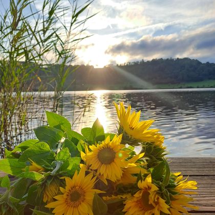 A wreath of sunflowers lies at the shore of a tranquil lake. In the background, the sun is shining beneath a cloudy sky.