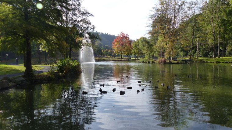 A quiet pond with ducks and a fountain. Surrounding it are green trees and colorful autumn leaves.