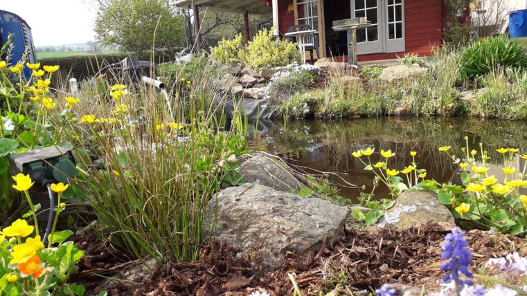 A beautiful garden with colorful flowers and a small pond. In the background, there is a red building with large windows.