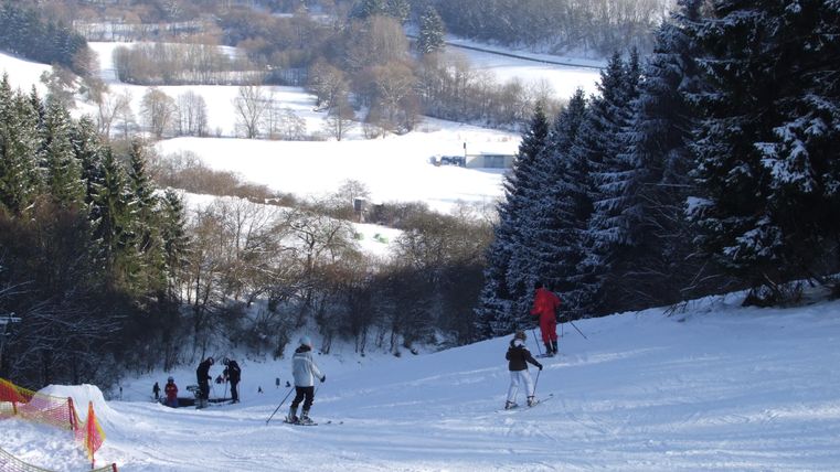 A snow-covered ski slope with several skiers and magnificent, snow-covered fir trees. In the background, gentle hills and a tranquil winter landscape can be seen.