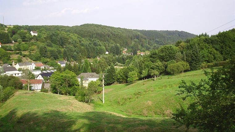 Eine malerische Landschaft mit sanften Hügeln und viel grünem Gras. Im Hintergrund sind kleine Häuser und Wälder zu sehen.