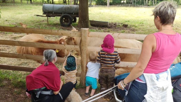 A family is looking at cows on a farm. The children are standing by a fence and watching the animals curiously.