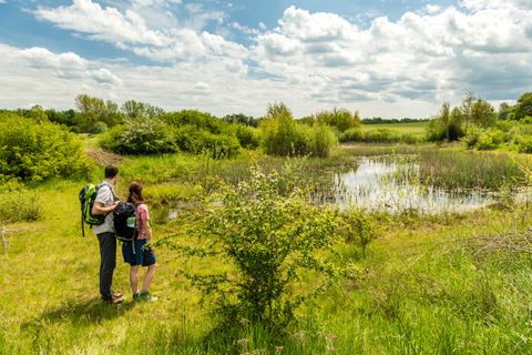 A couple stands in nature and looks at a small pond. The surroundings are green with a bright blue sky and a few clouds.