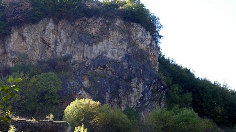 Steile Felswand mit dichter Vegetation an der Spitze und am Fuß. Die Felsen sind grau und von Bäumen umgeben.