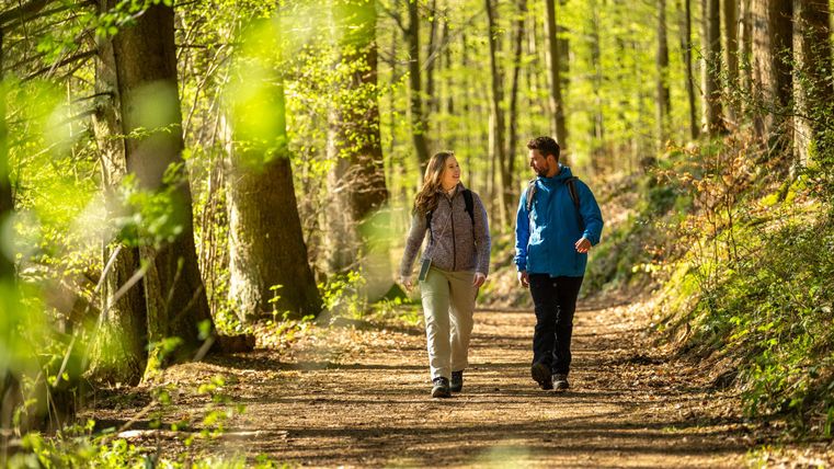Zwei Menschen wandern auf einem Waldweg. Umgeben von grünen Bäumen und natürlichem Licht genießen sie die frische Luft.