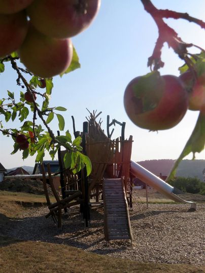 Ein Spielplatz mit Rutsche und Klettergerüst unter einem klaren Himmel. Im Vordergrund hängen Äpfel an einem Ast.