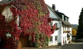 Ein charmantes Haus, das mit buntem Efeu bewachsen ist. Daneben befinden sich weitere Gebäude mit Blumenkästen und schönem Herbstlicht.