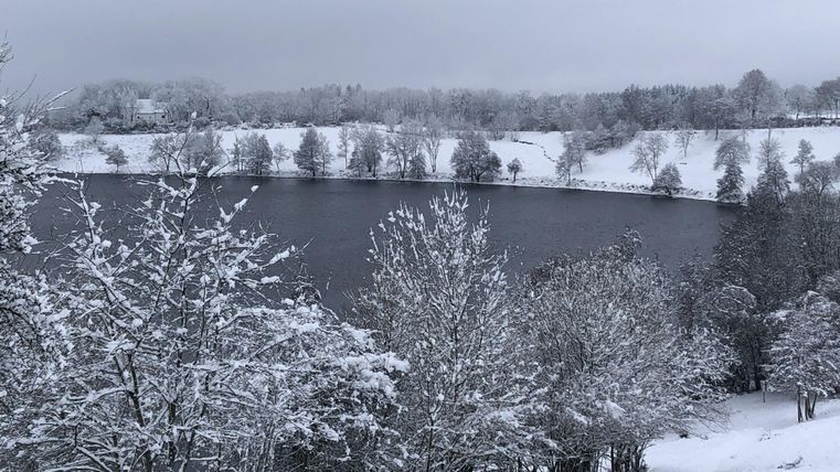A wintry lake surrounded by snow-covered trees. The sky is gray and overcast.