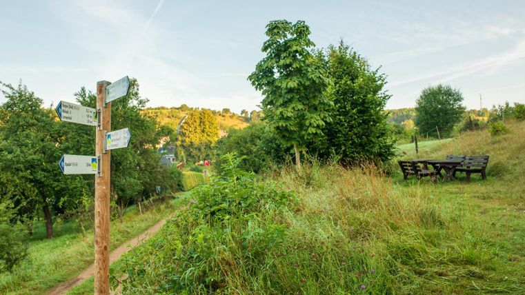 Ein Weg mit Wegweisern führt durch eine grüne Landschaft. Im Hintergrund sind Bäume und ein Platz zum Sitzen zu sehen.